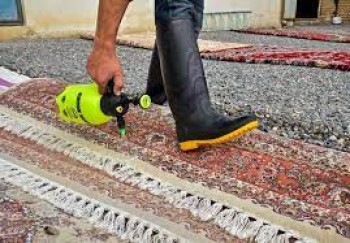 قالیشویی جردن قالیشویی جردن